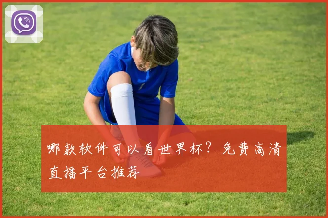 哪款软件可以看世界杯？免费高清直播平台推荐