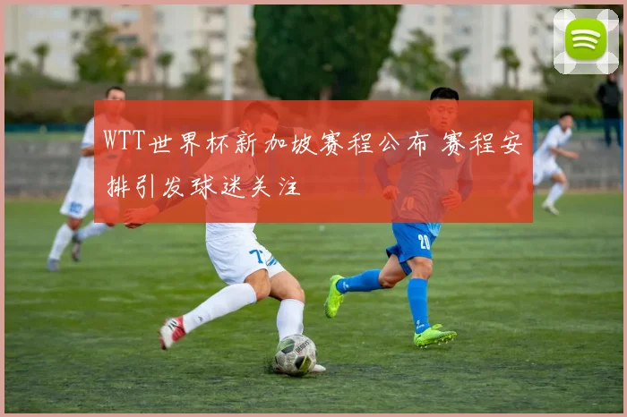 WTT世界杯新加坡赛程公布 赛程安排引发球迷关注