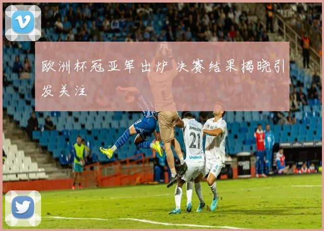 欧洲杯冠亚军出炉 决赛结果揭晓引发关注