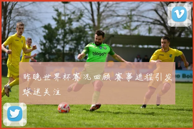 昨晚世界杯赛况回顾 赛事进程引发球迷关注