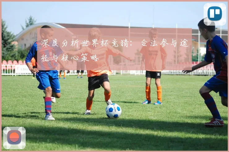 深度分析世界杯竞猜：合法参与途径与核心策略