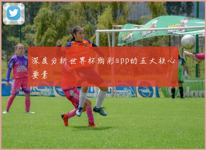 深度分析世界杯购彩app的五大核心要素