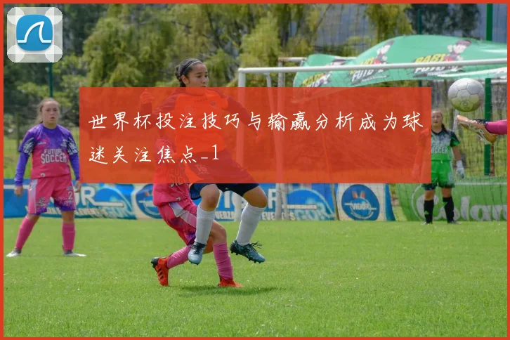 世界杯投注技巧与输赢分析成为球迷关注焦点_1